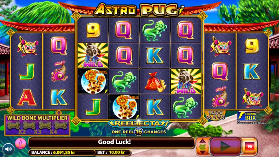 JUST TRY : animal themed slots
